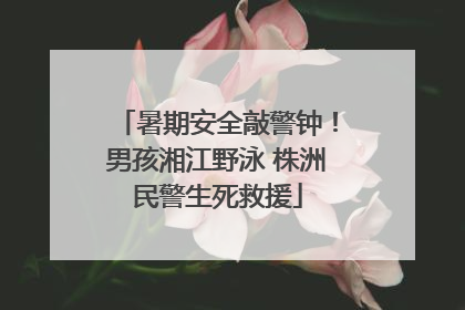 暑期安全敲警钟！男孩湘江野泳 株洲民警生死救援